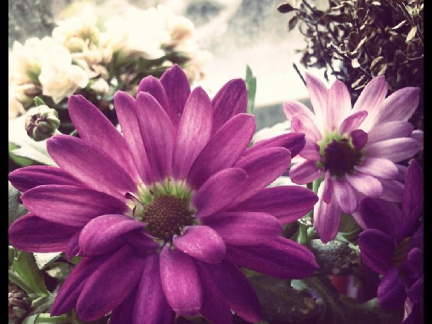 cd8cebd5ea99a21f7b3ef4f5c6edf8ad