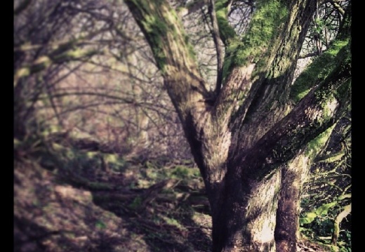 df8ef3e090bc3fce1b04b70d7244c4f6