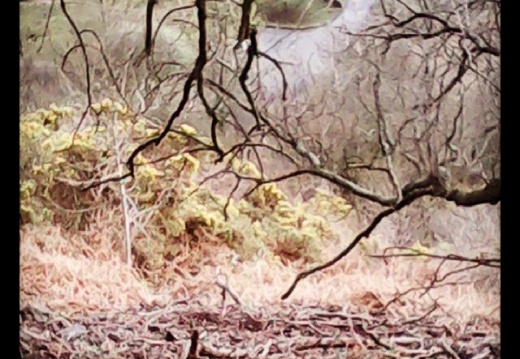 e3d78d162a02f236d2e192b41424e88e