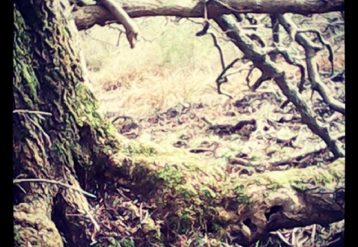 3b91b3c1e4b751d7c48b9655baeb6b84