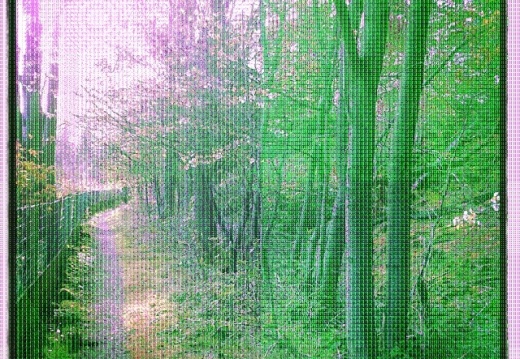 7f0b818afd6251865c89dba401addd30