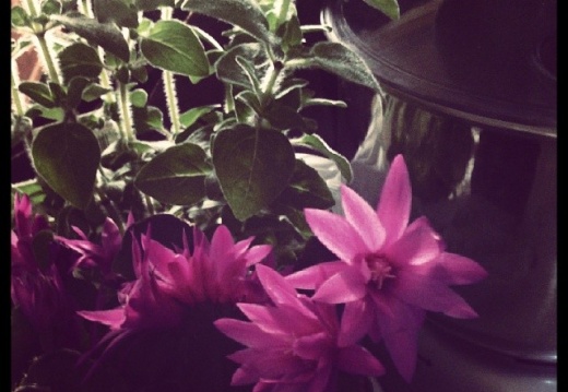 7fde4d60692171b658440142dea56fd5