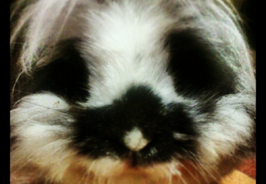 9f1aa9c54893fc535afd50c27fd00d58