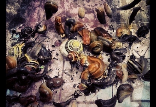 95b5c1fcbb110eb2daec829019afb213