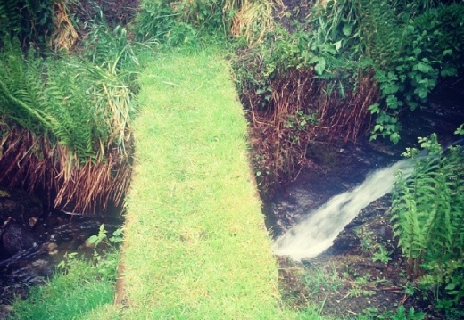 521c9e7304ae31d265a925ceb33b36fe