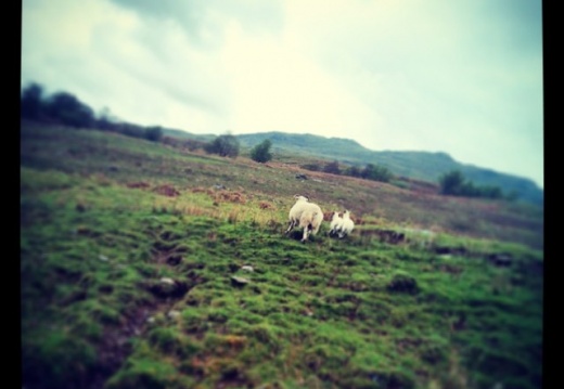 777b080884add03c85f0fdcf0ebfefd7