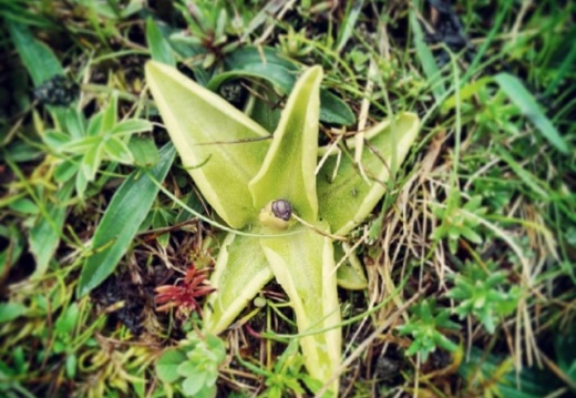 8226e27ecb45c447057dd553cae7a8d3