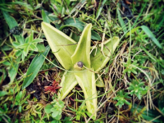 8226e27ecb45c447057dd553cae7a8d3