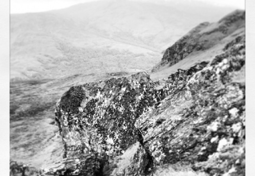 9921f50f8d18bcbe1833aadbb6f54379