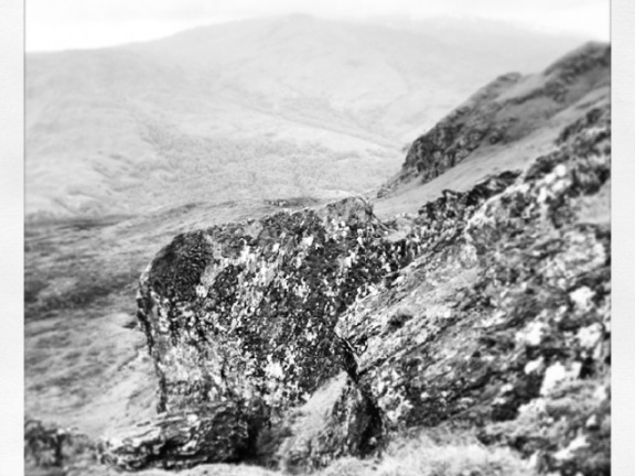 9921f50f8d18bcbe1833aadbb6f54379