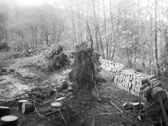 25961498782123510cbae02dd2508d14