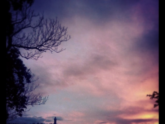 a24981aaea5329765f4ded1dcd7caf93