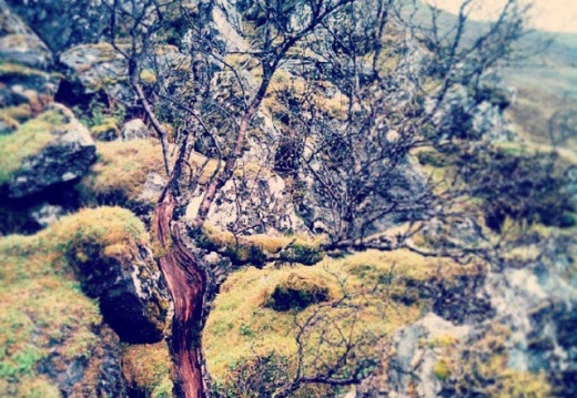 b22a5f10a1b332ad6b469bb63cc60f7d