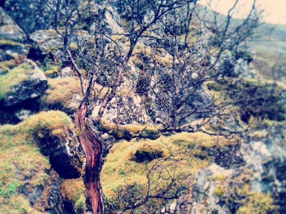 b22a5f10a1b332ad6b469bb63cc60f7d