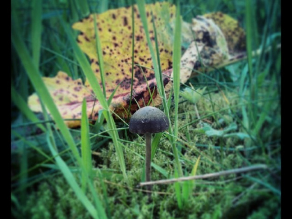 b05862e222051a3184ea95abdc35efd2