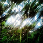 b8969c1ecc0e6b4be2be8d1145ec9832