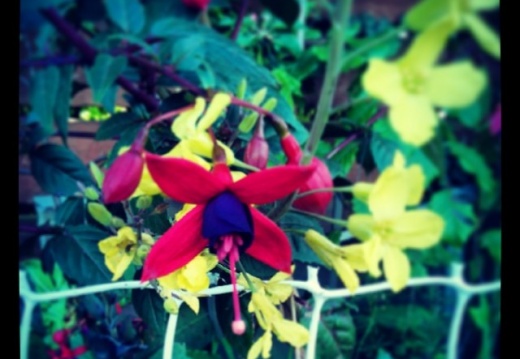 bb42f504e9056947d00203836c2a6d30