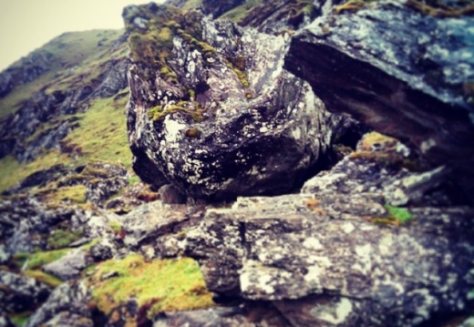 c2e9e0ddd30d20fa2f66c236293a44ca