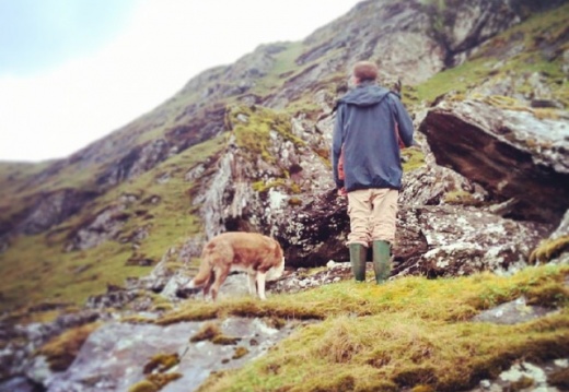 4c344e55497564467831787b8f788446