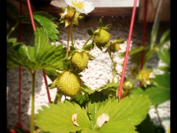 6ad1422d7fc3d10e3ca89121983b54b4