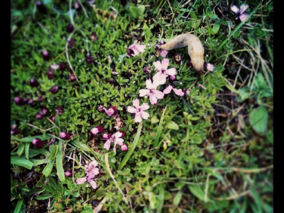 6cad5349c966572adcee921998d536af