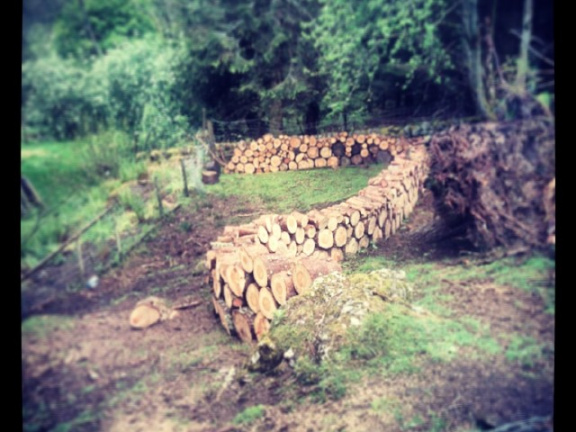 6d58aa6ccc5b61d09845ca332406a2e4