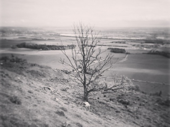 7ccc7a8cd06cbf3610e2de0640aed498