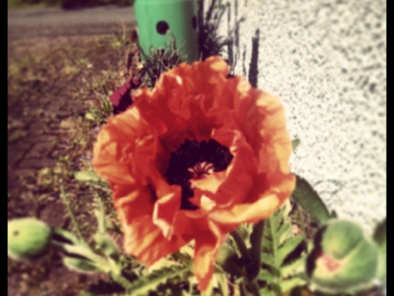 8ed9270959d190daba5971547c74e094