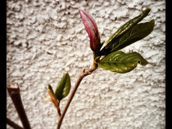 9f814f3f08078d502873993beaa2ffc9