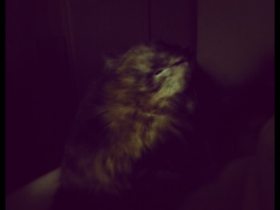 25e605464634a9ee7a7bc26589a080c9