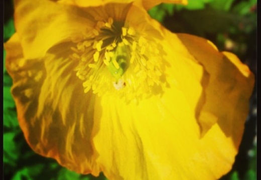 27d89a7fb3ed70c6d9035ea8dfdaeba5