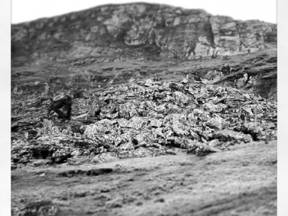 58af02a01be4474f42ee093394c80391