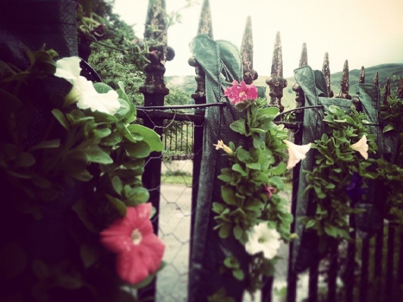 68d73b1e74b54cda75ee2d79066293a2