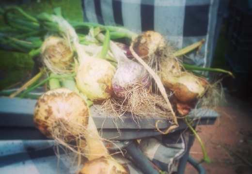 12138ed591e6c2c21e1b7c6d171b53f5