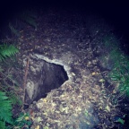 abb2548072901597a7f9cc45a3cb7926