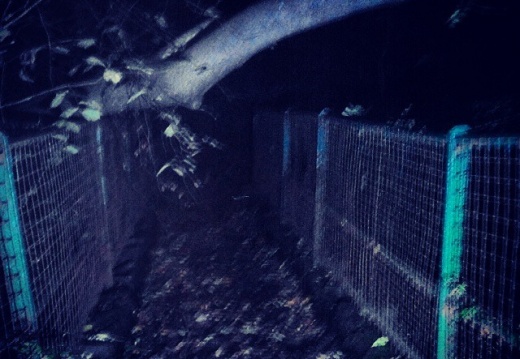 cd47b198c0d9e301868a4f33b6cd499f