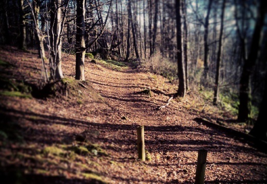 8e6e6cb7b084deacb34bda09abdea0cc