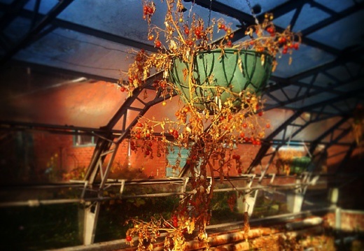 379eaf3b2a9200a9bab7e4d33c8ad0de