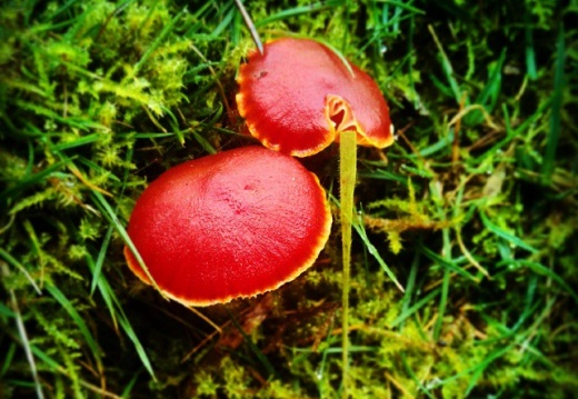 948f2f1bf05400306ab3108a0c90a96e