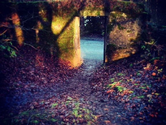 3740a7707ab1700cd6782b95006156df