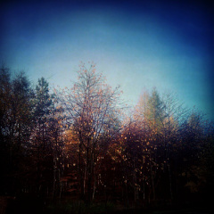 6919abf9e07cc4e83bd8e075a88ddc13