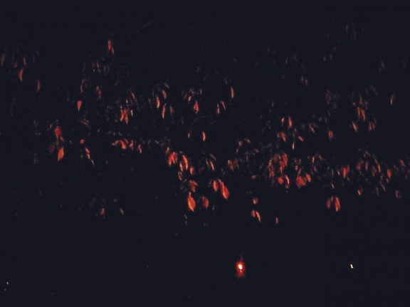 29882b95855cc2ce7e340e6c34b0977f