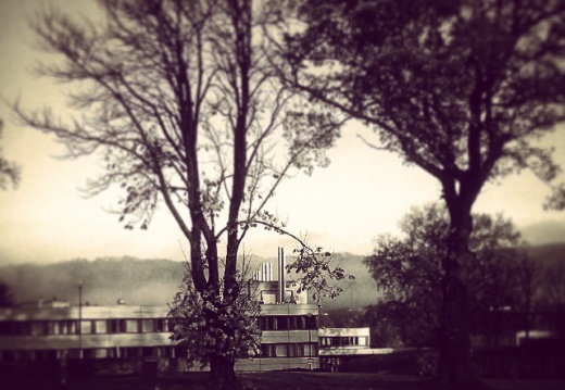 c7605e3ce3d32eb63d2cde4c03ba1aa0