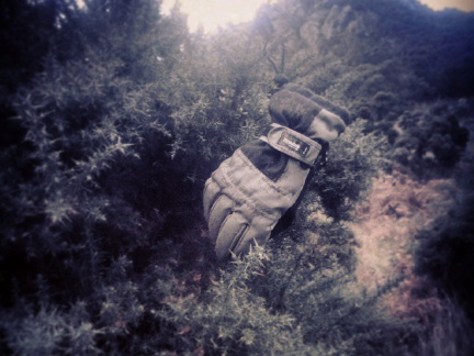 f24b4754e74ebce24482278d1f333c86