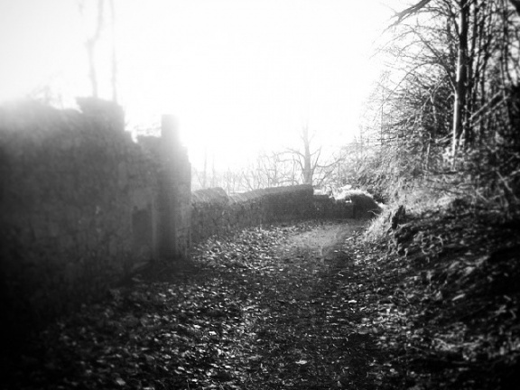 0e868ab7391d95d2e6fdce17f827f1a6