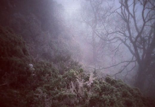 2dd15b43883424a4a839721b7d0d2f17