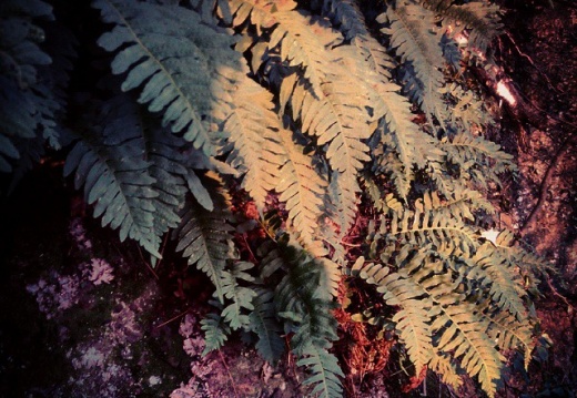 58c880c9ce2cc37b75f1645656362dc9