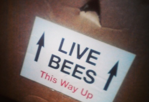 4411147784af0fc2acbc53a7191f7a9c