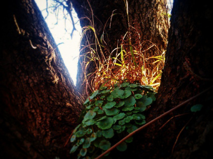 e2e3e86c12e1a39711476d32c86eaa7a