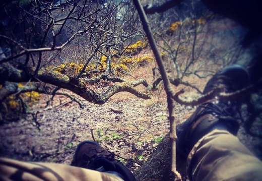 814015bcd62f0c9b2619348963666b85